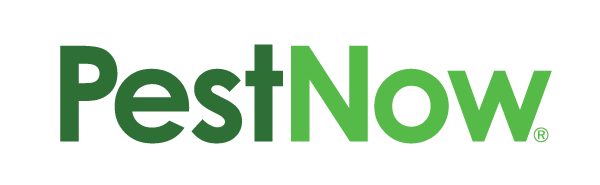 PestNow new logo design