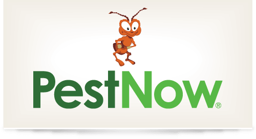Logo design for PestNow